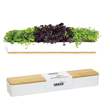 Urban Greens Windowsill Grow Kit - Microgreens 1 kit